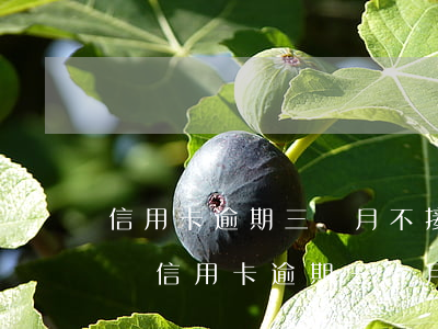 信用卡逾期三個月不接電話會被起訴嗎怎么辦，信用卡逾期三個月未接電話，會面臨被起訴風險！如何應對？